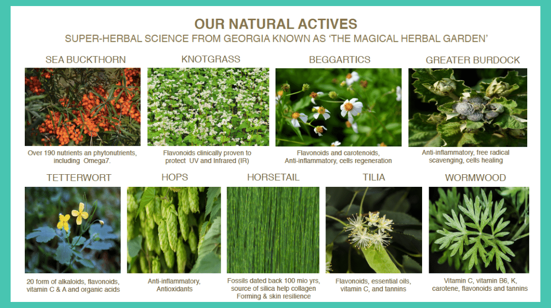 Our Natural Actives - List of Ingredients